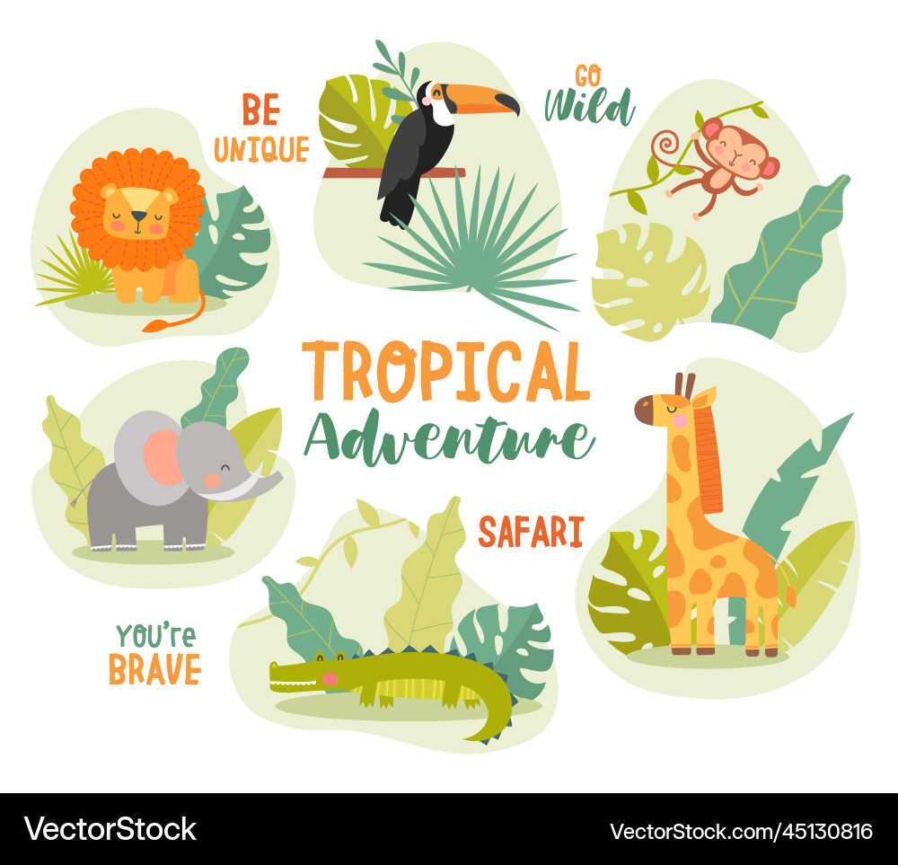 Safari Animals - Cartoon Collection Vector Image