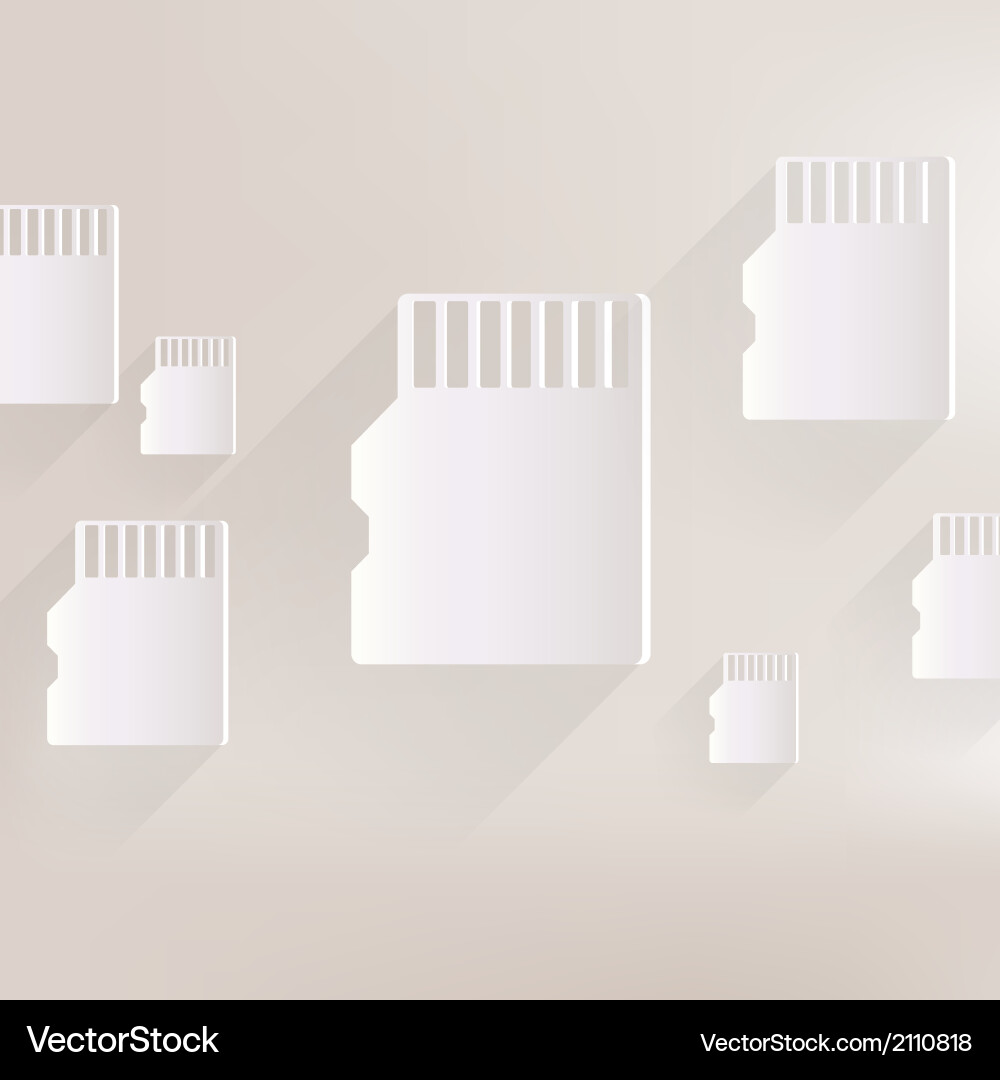 Compact memory card icon vector image
