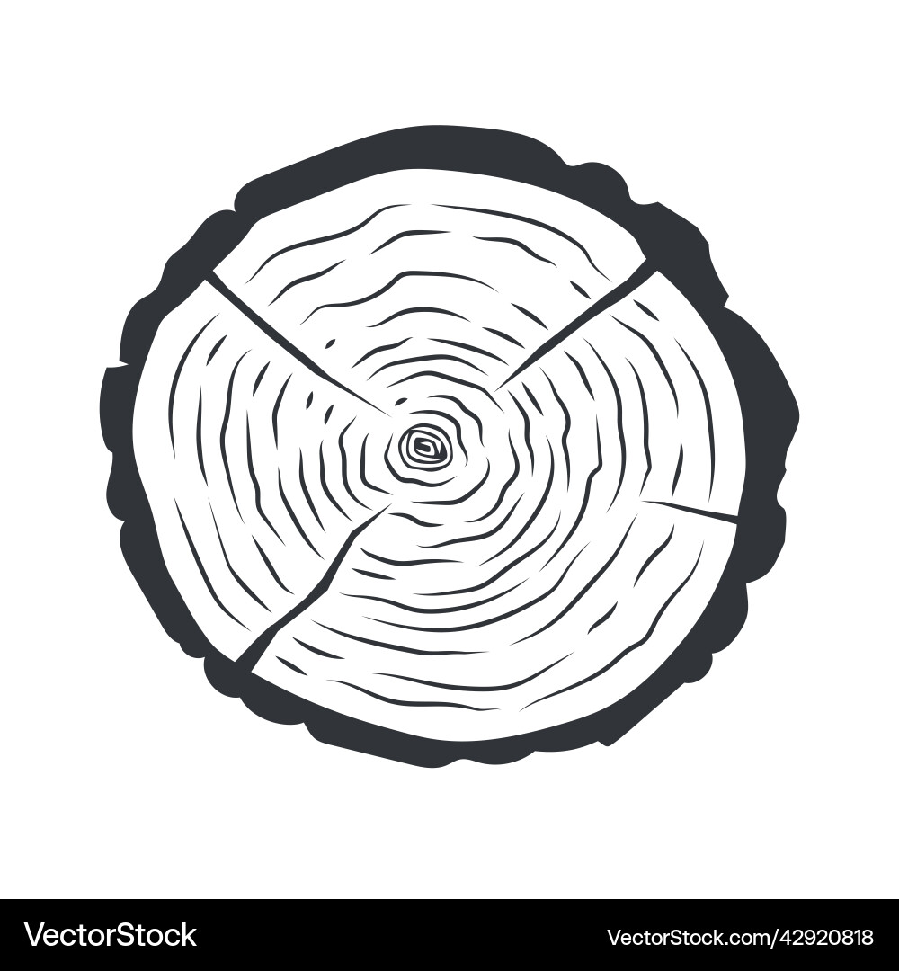 Tree trunk cross section Tree trunk cross section vector image