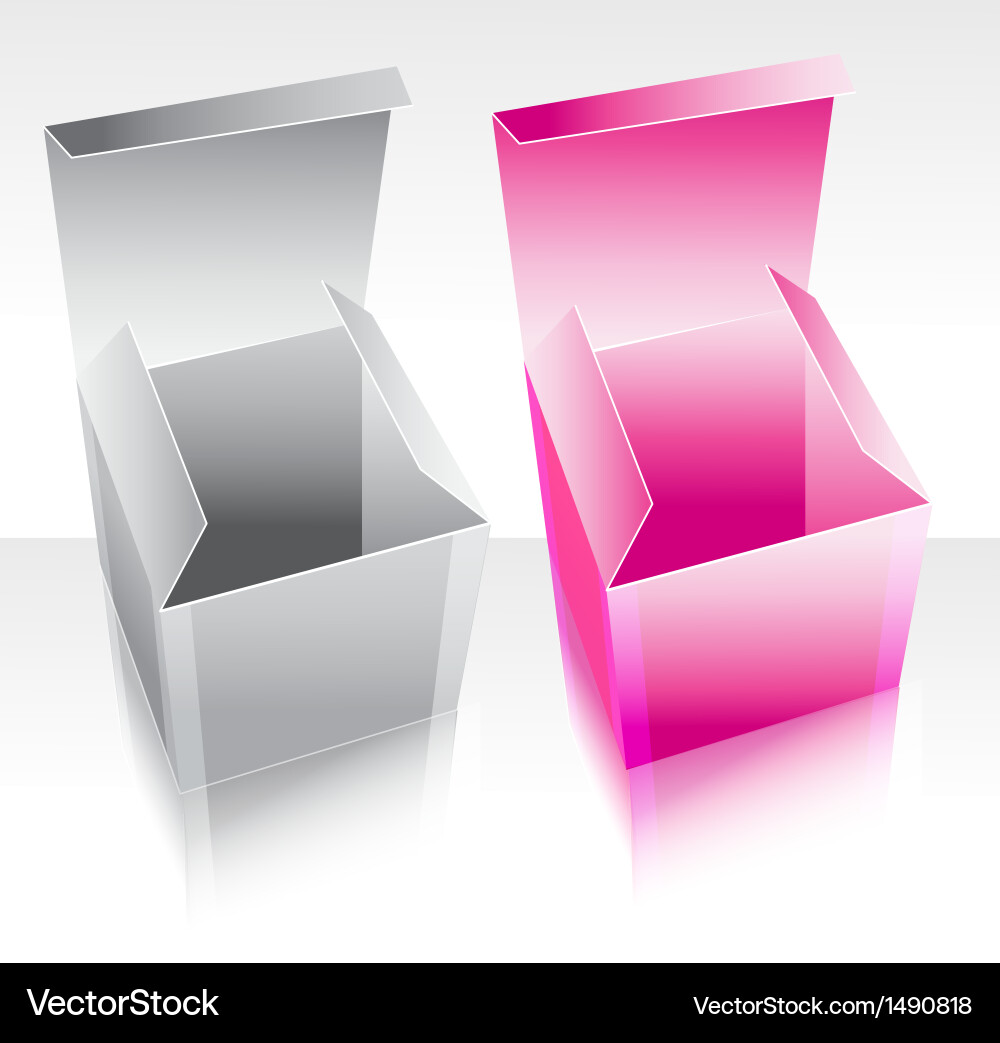 Two Boxes Reflection Vector Image