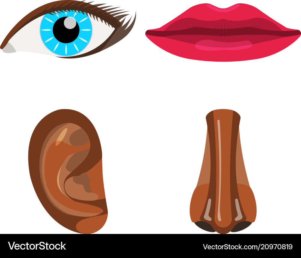 Woman Face Body Part Icons Royalty Free Vector Image