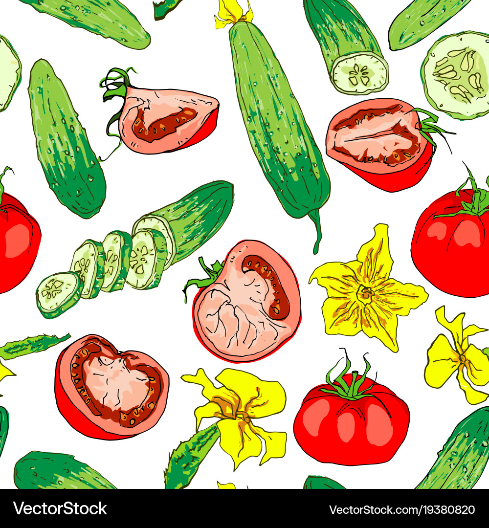 Seamless pattern of colored tomatoes and cucumbers vector image