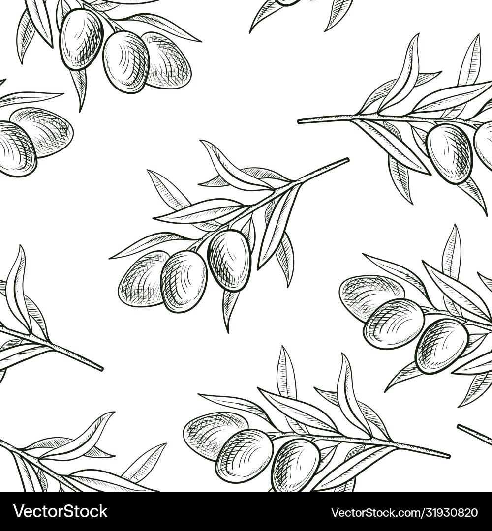 Seamless pattern with drawing olive branch Seamless pattern with drawing olive branch vector image