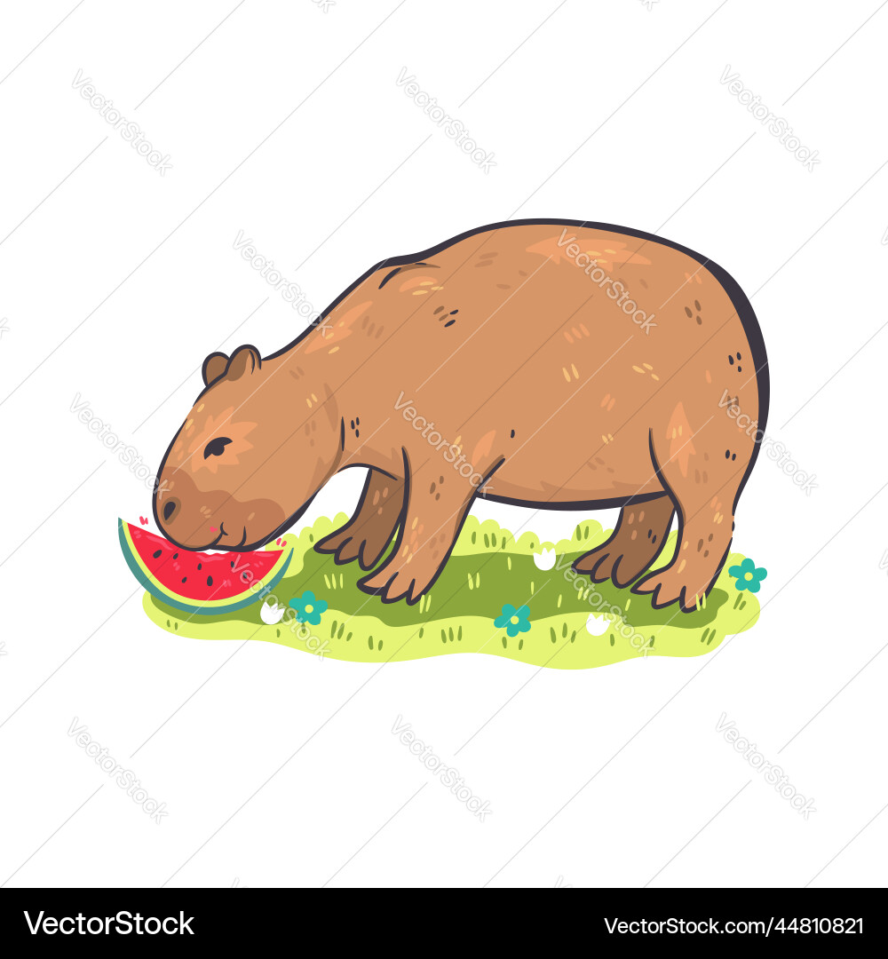 Cute capybara isoliert auf weißem Hintergrundbild Cute capybara isoliert auf weißem Hintergrundbild vektorbild