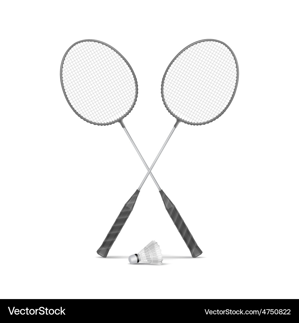 Badminton Rackets and Shuttlecock Vector Image