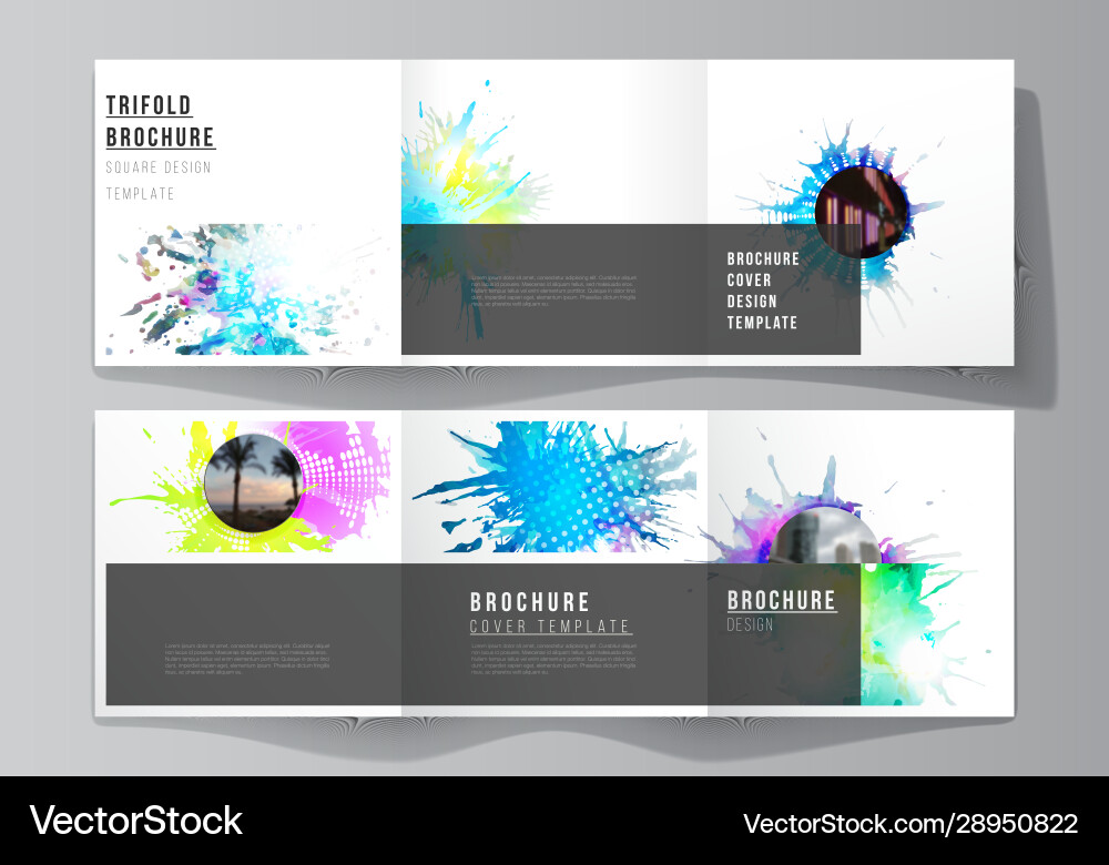 Minimal editable layout square Vector Image