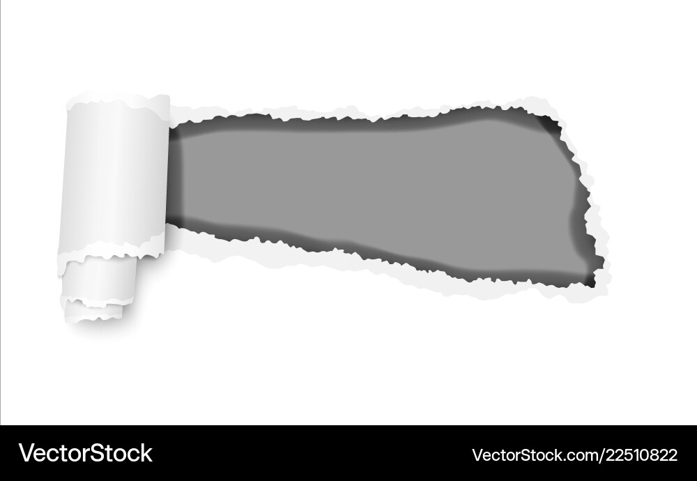 Ripped hole in white sheet of paper Vector Image