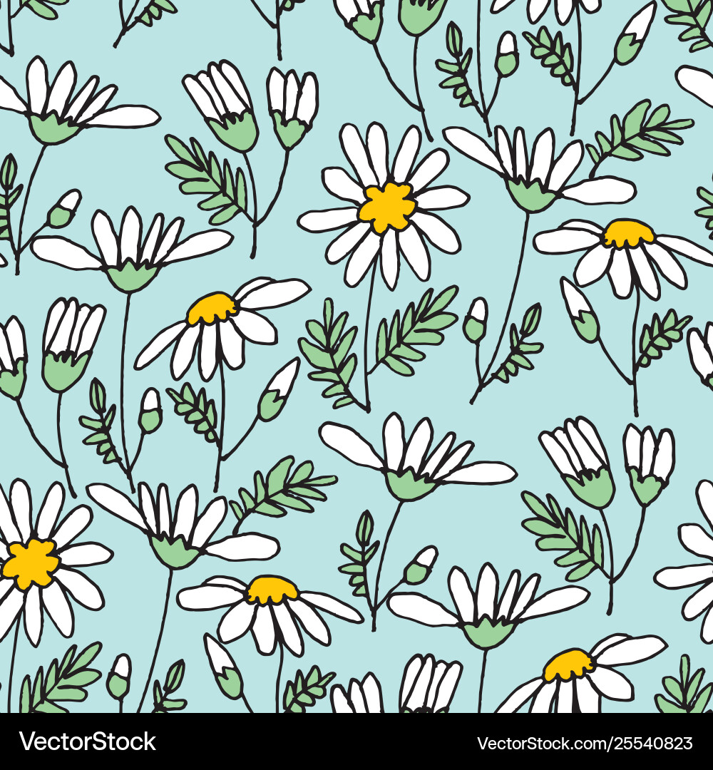 Chamomile Flower Pattern vector image