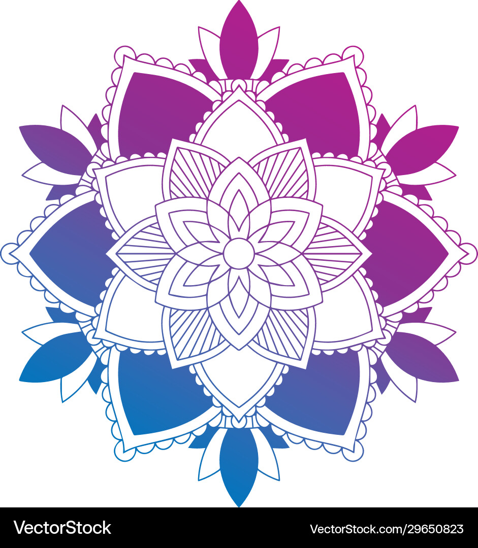 Mandala patterns on isolated background Mandala patterns on isolated background vector image