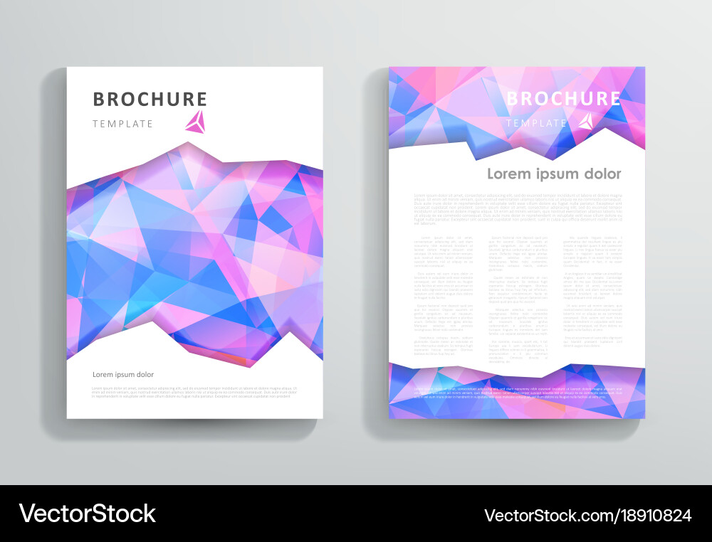 Abstract triangular brochure design template Vector Image