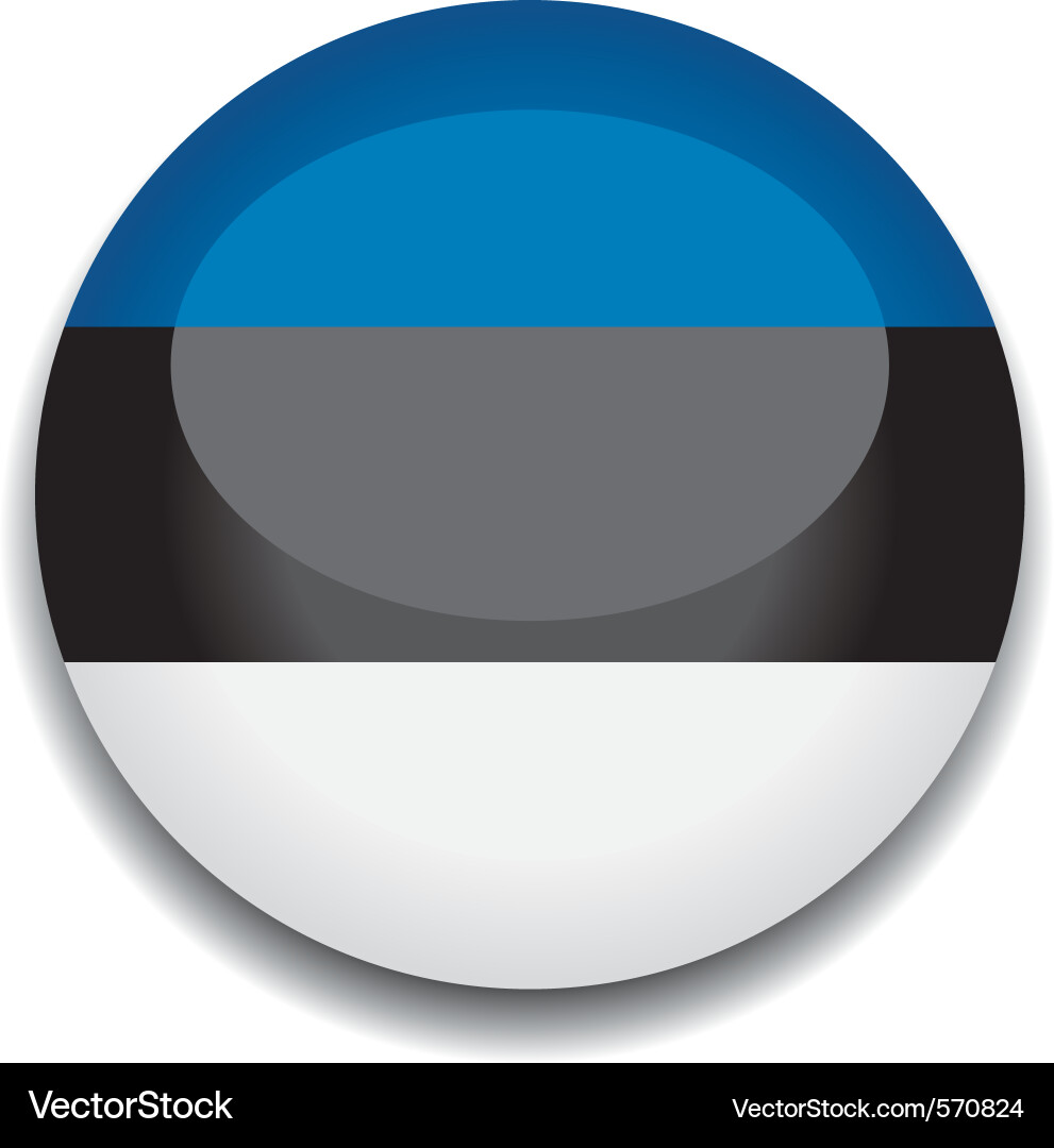 Estonian Flag Button Vector Image