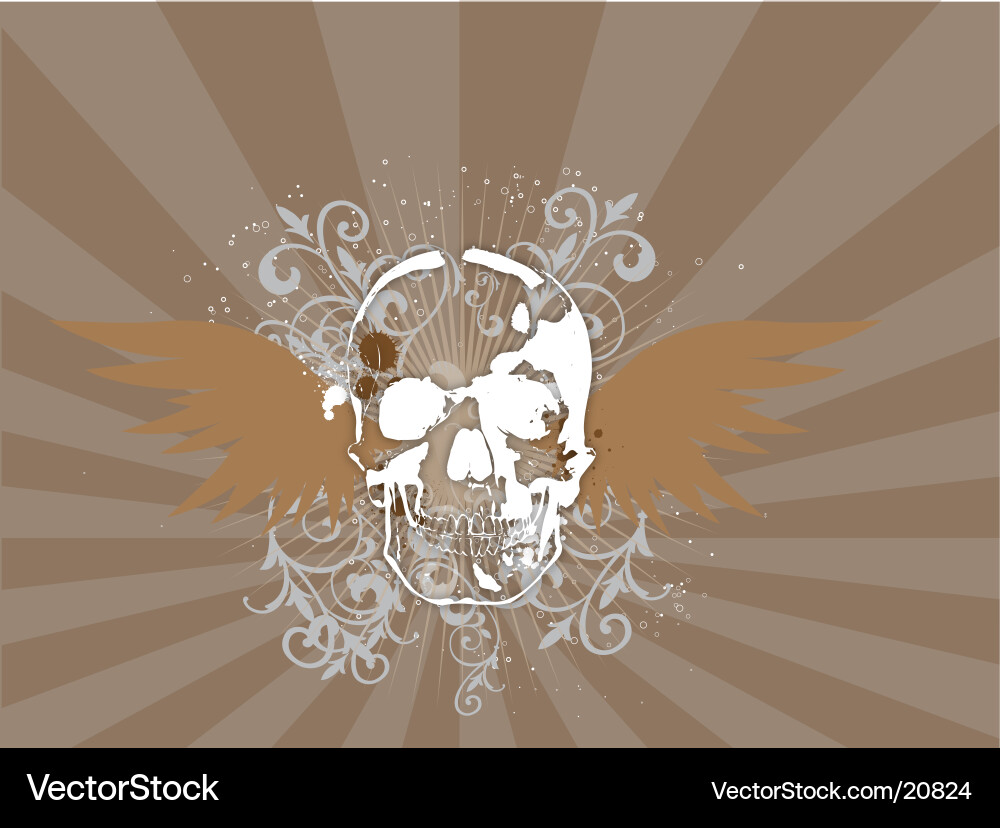 Retro Skull with Rays Vector Image