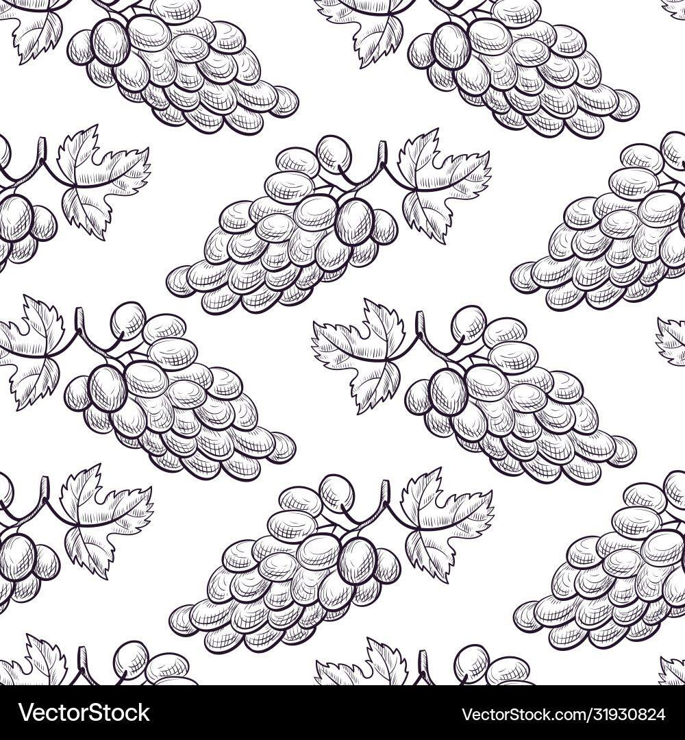 Seamless pattern with drawing grapes Seamless pattern with drawing grapes vector image
