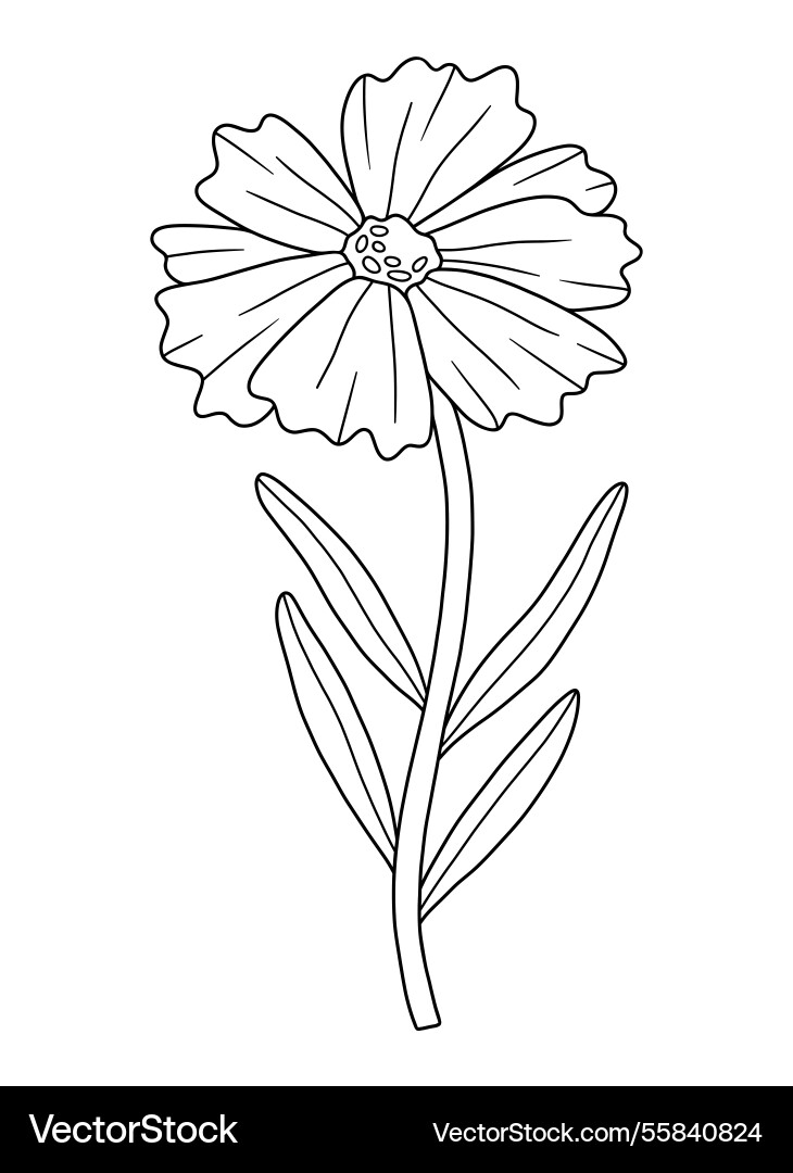 Wildflower in line art style for design projects Wildflower in line art style for design projects vector image