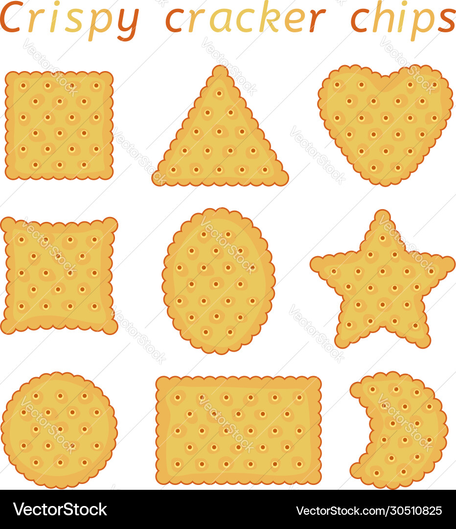 Assorted Cracker Shapes vector image