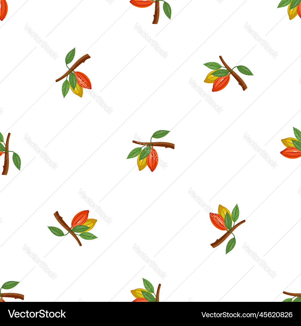 Cocoa branch pattern seamless Vector Image