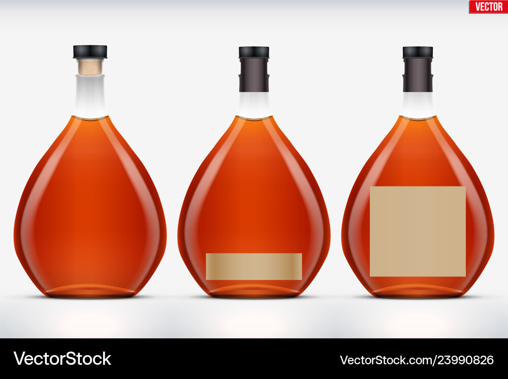 Cognac Bottle Mockup Set Vector Image