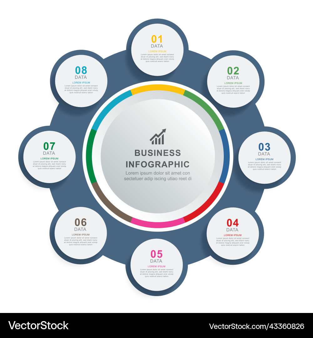 Infographics circle timeline with 8 number data Vector Image