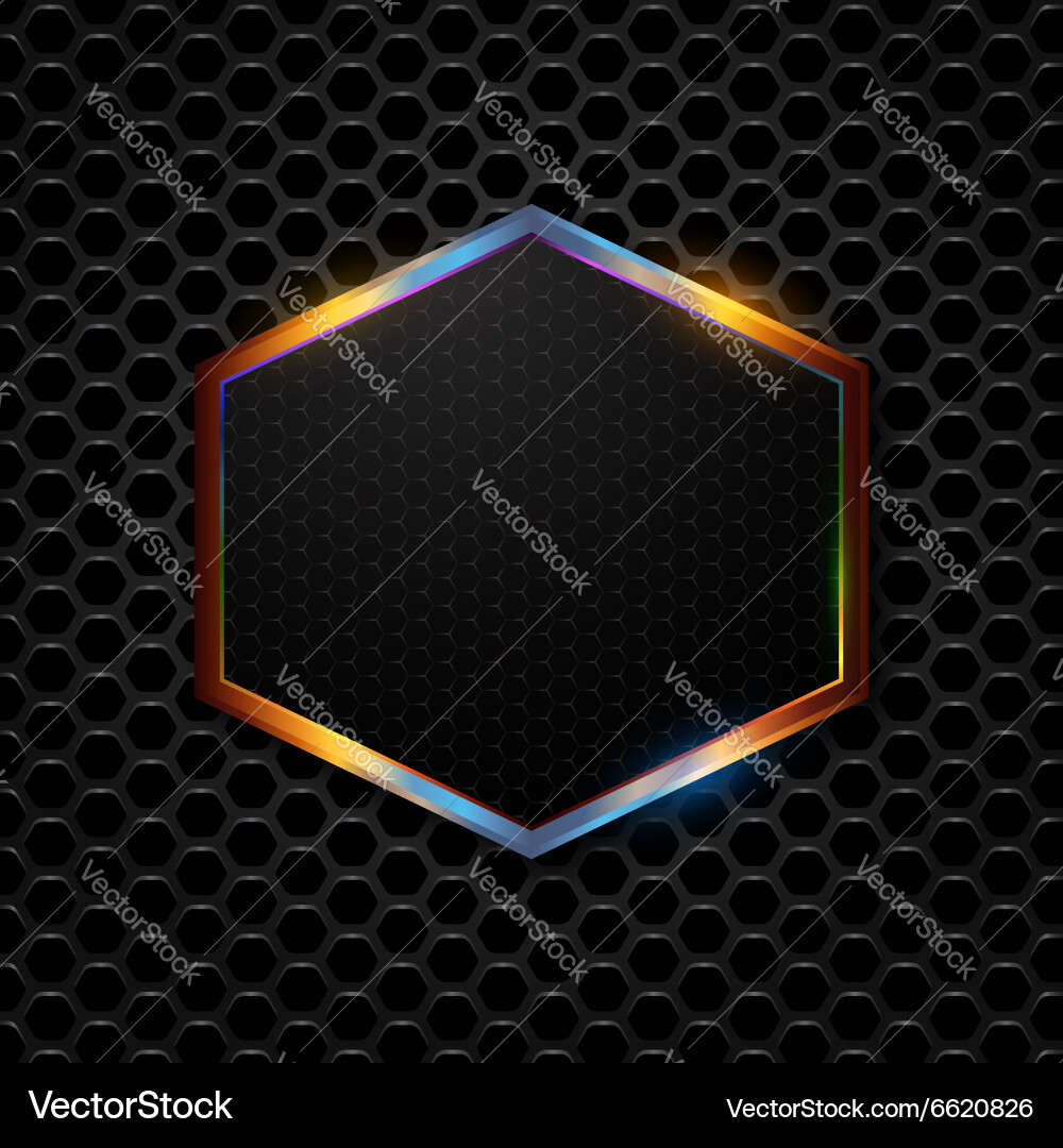 Metallic Hexagonal Frame Background vector image