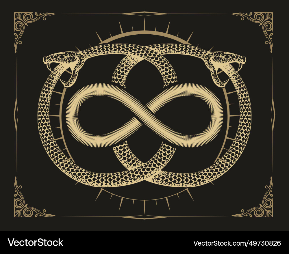 https://cdn.vectorstock.com/i/1000v/08/26/ouroboros-serpent-amp-infinity-symbol-vector-49730826.jpg