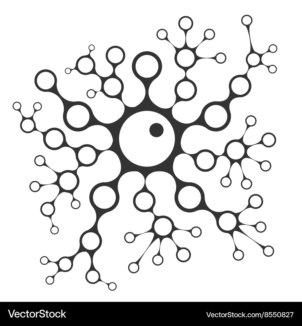 Cell Branching and Division vector image