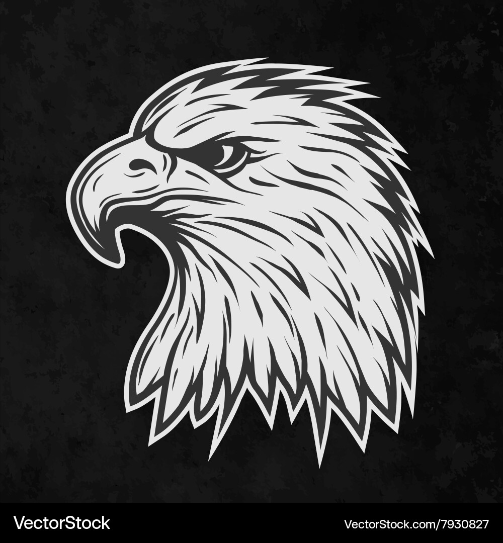 Голова орла вектор. Стилизованная голова орла. Ястреб контур. Сокол векторный рисунок. Голова орла рисунок.