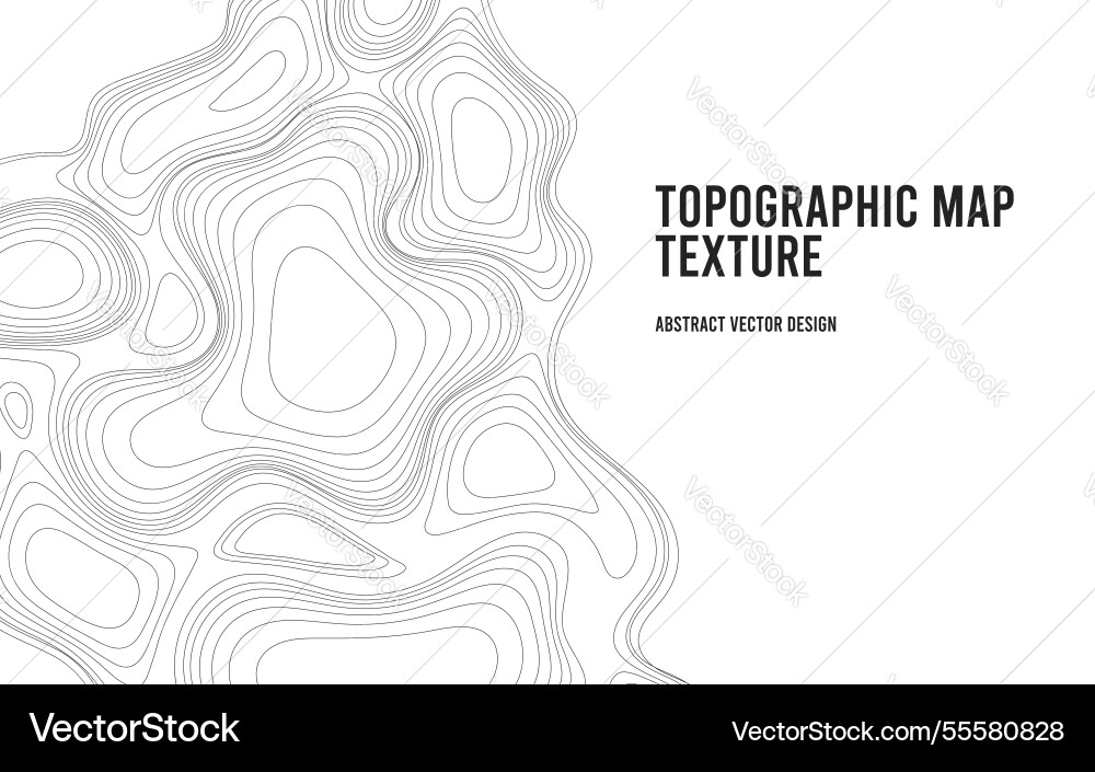 Topographic map background with copy space Topographic map background with copy space Vector Image