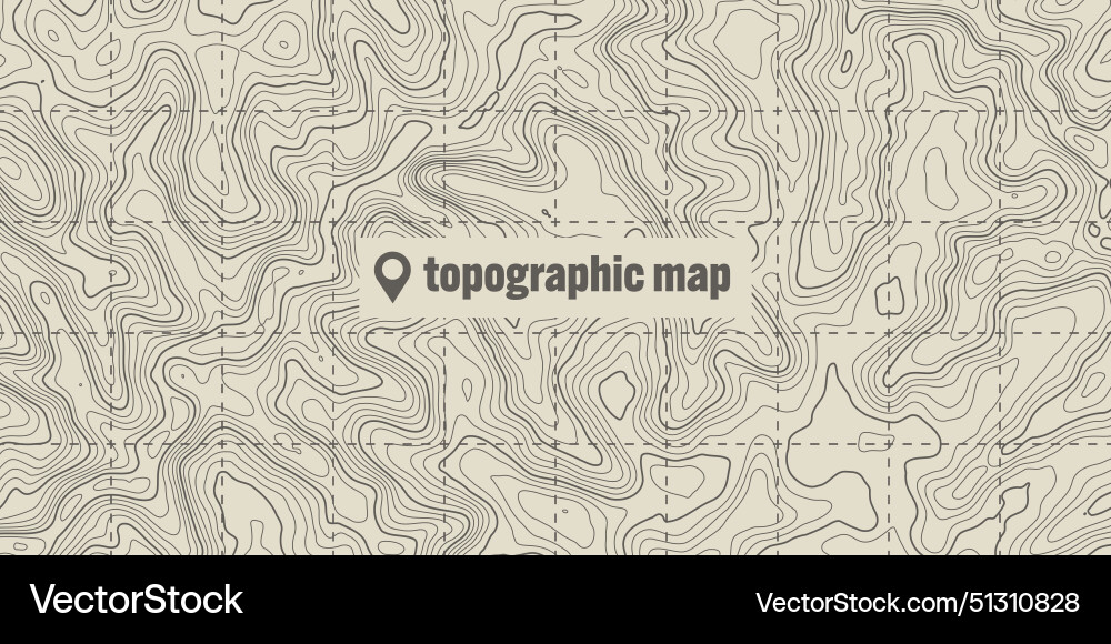 Topographic map with contour lines geographic Topographic map with contour lines geographic vector image