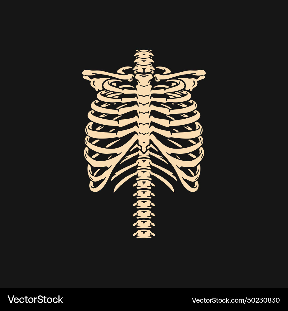 Chest Knochen T-Shirt-Print für Horror oder Halloween Chest Knochen T-Shirt-Print für Horror oder Halloween vektorbild