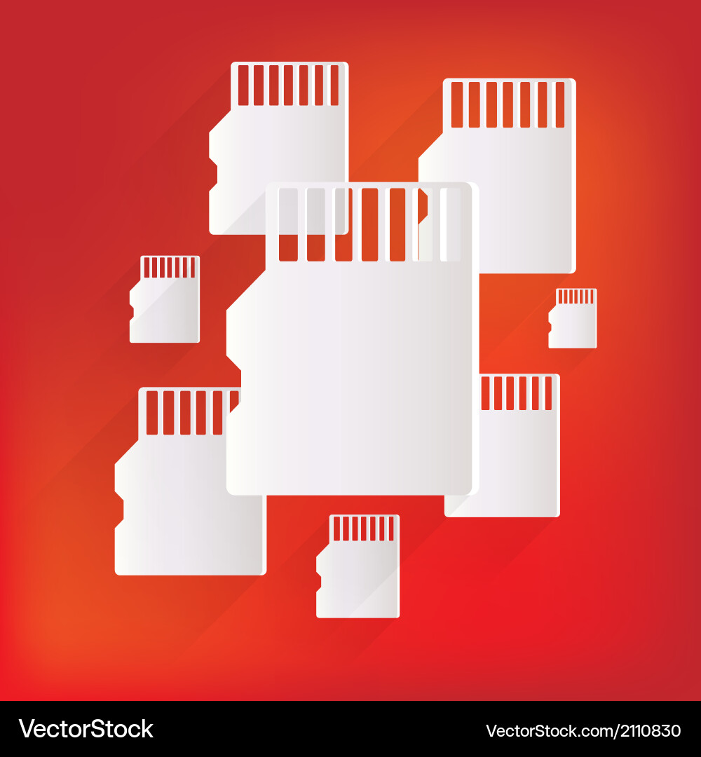 Compact memory card icon vector image