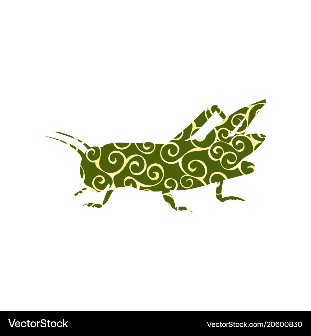 Locust grasshopper insect spiral pattern color vector image