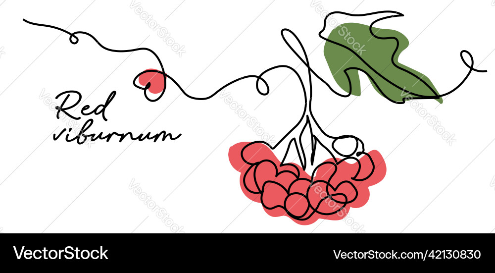 Red viburnum simple color Red viburnum simple color vector image