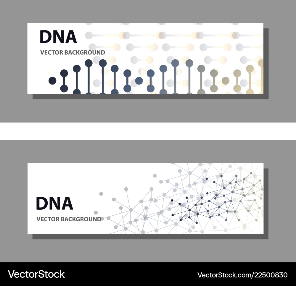 Set of 9 templates for presentation slides vector image