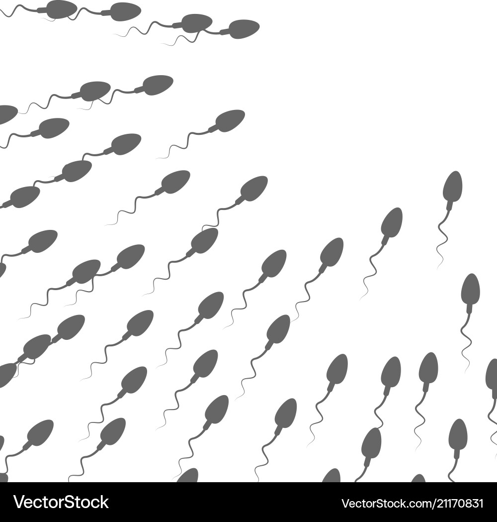 A large group of spermatozoa flows towards A large group of spermatozoa flows towards Vector Image