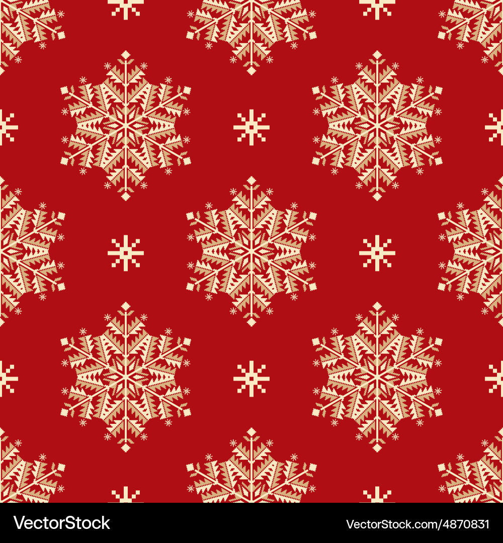 Elegant Snowflake Pattern vector image
