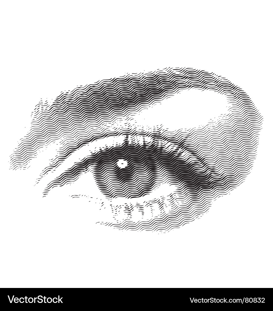 Halbton Eye Detail Vektorbild