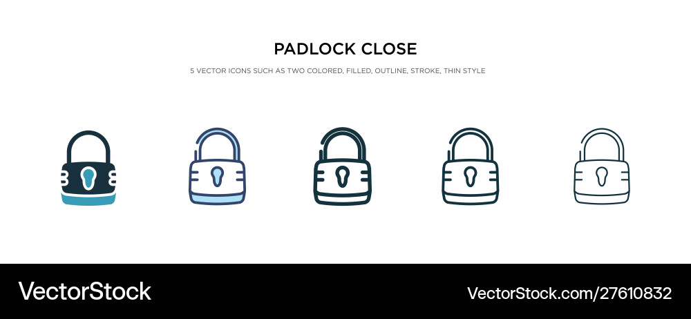 Padlock close icon in different style two Vector Image