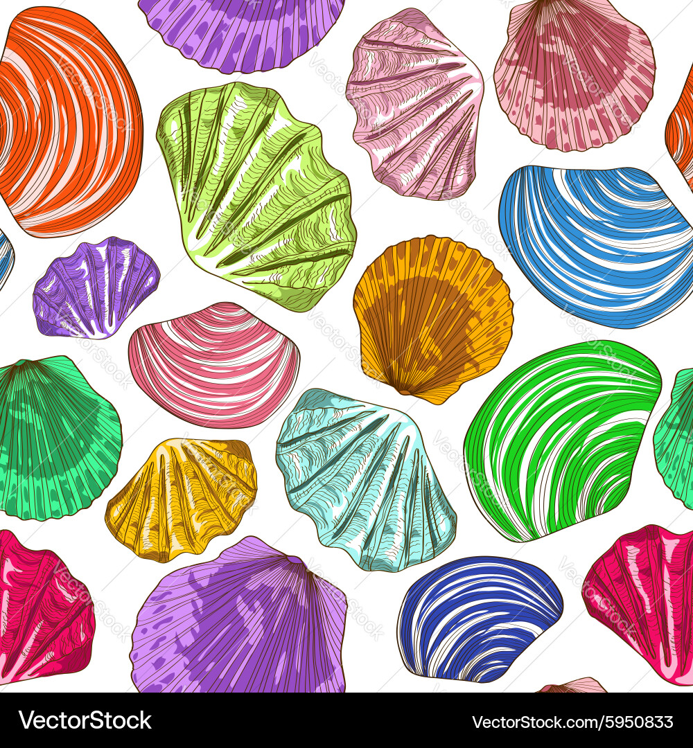 Colorful Seashell Pattern vector image