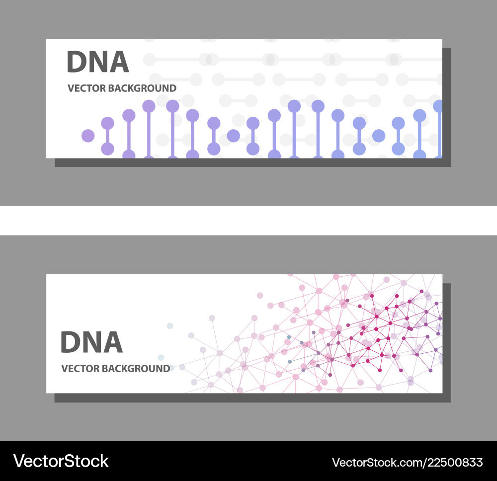 Set of 9 templates for presentation slides vector image