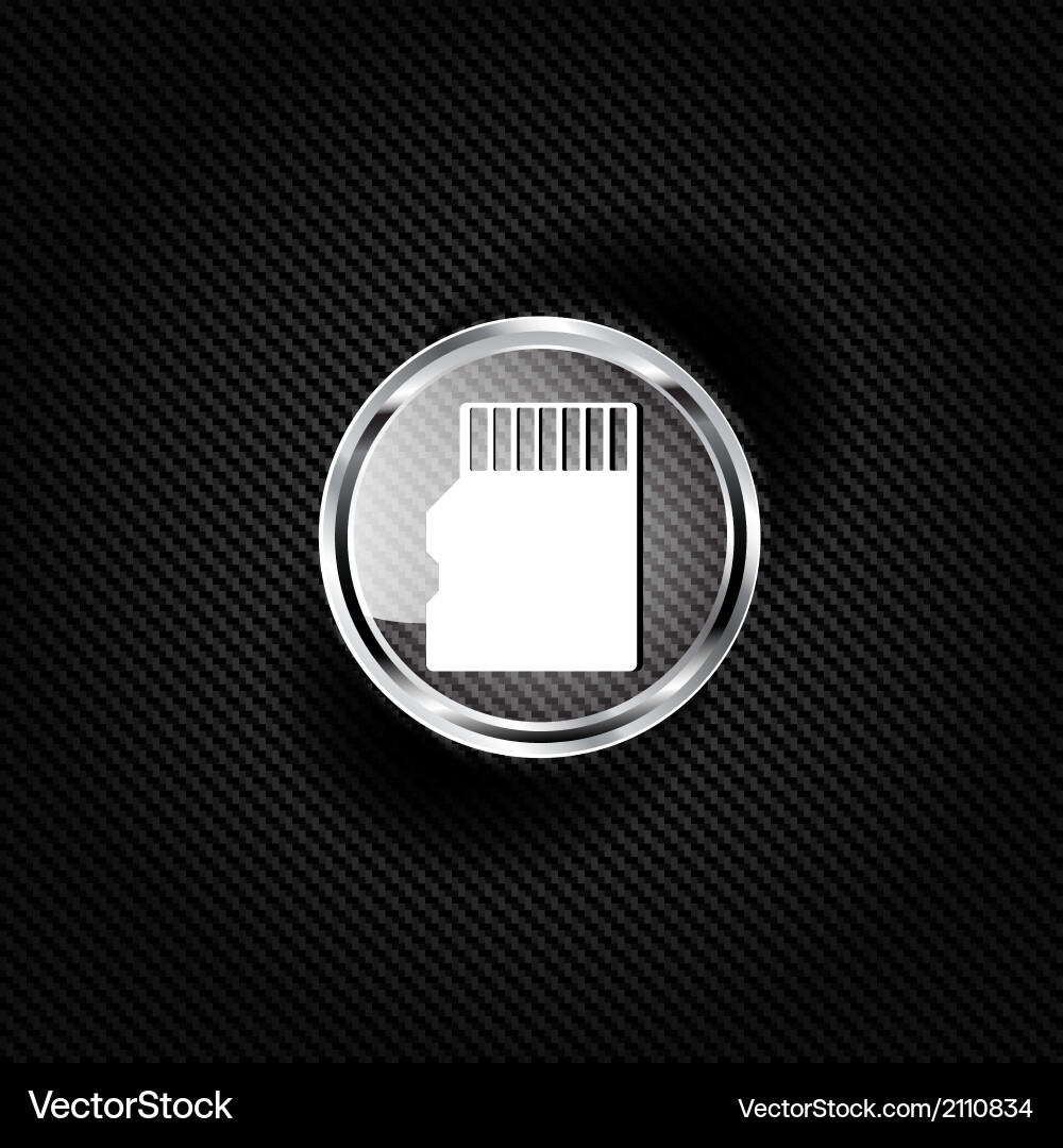 Compact memory card icon Vector Image