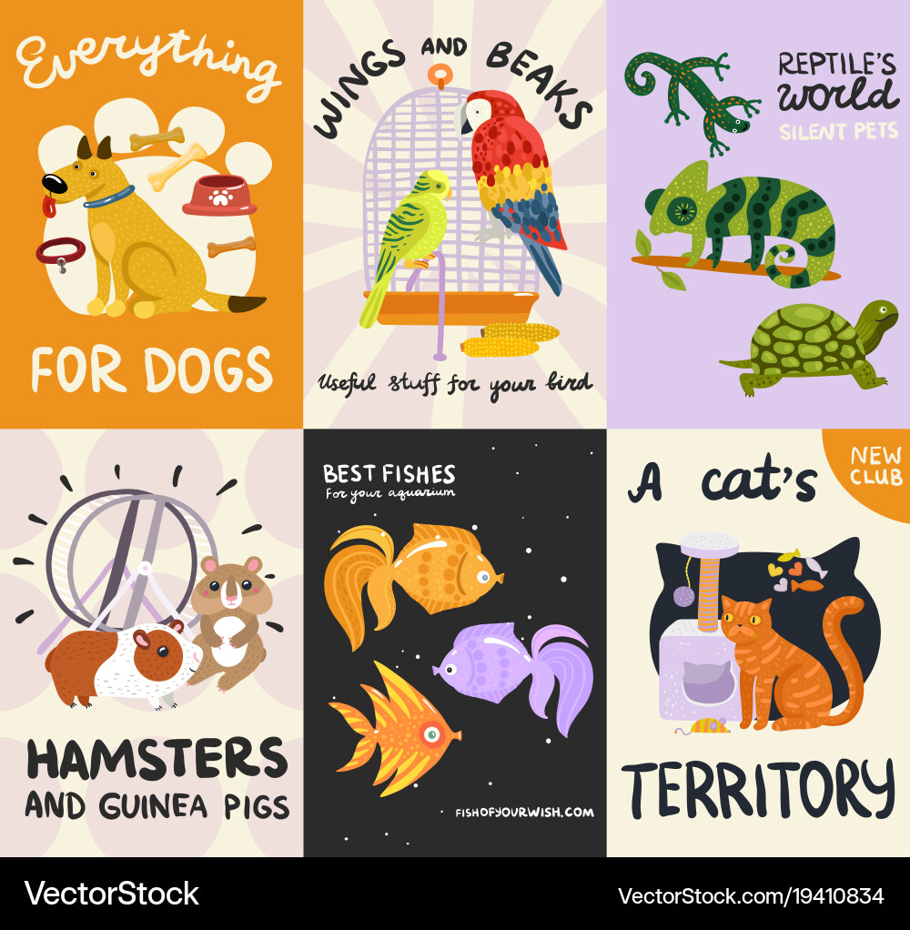 Pets posters and banners set vector image