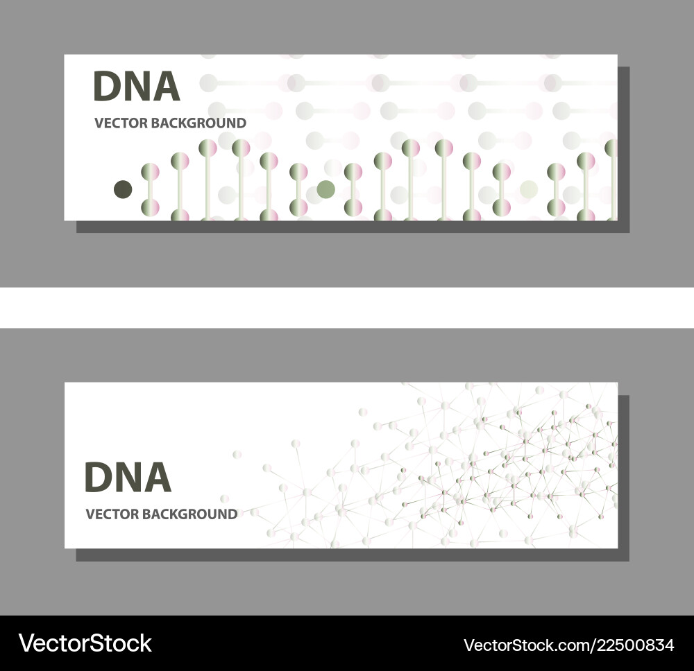 Set of 9 templates for presentation slides vector image