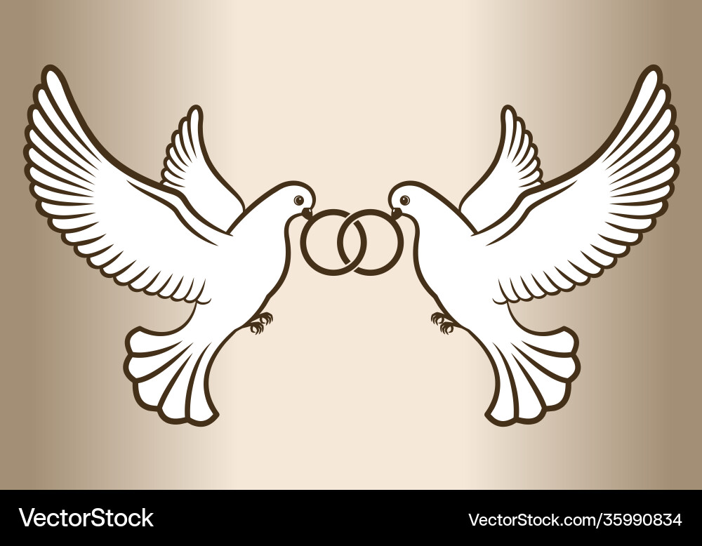 Two white doves in flight Vector Image