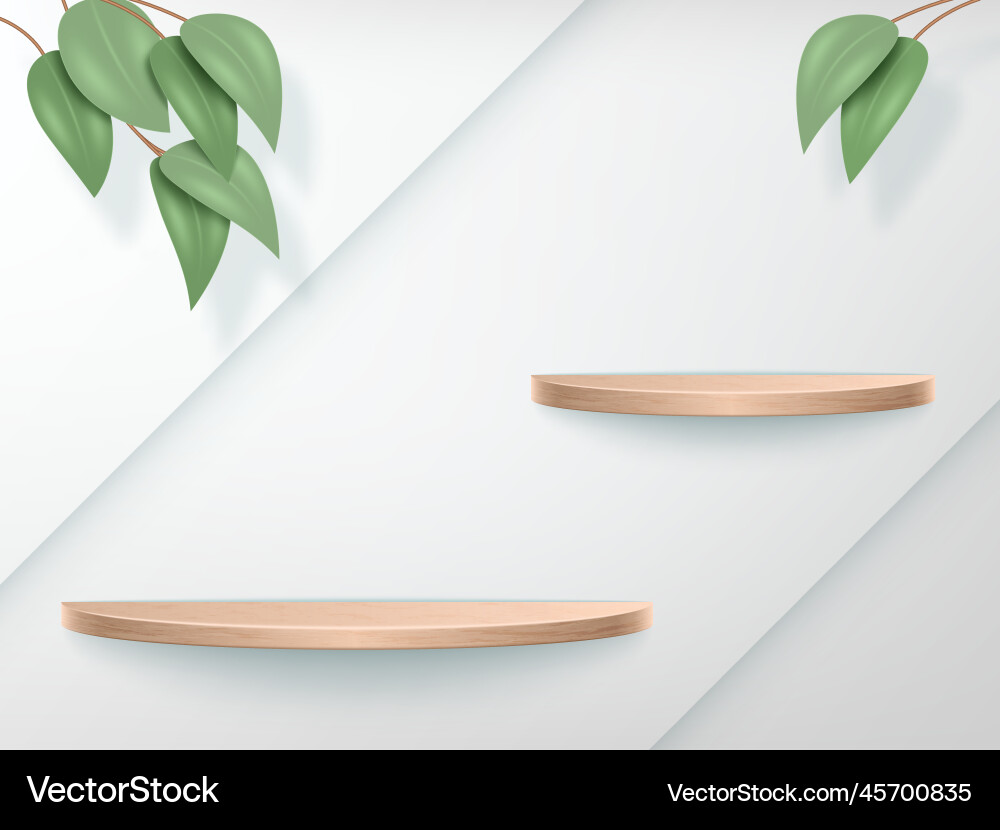 Cosmetic products podium empty wooden stand vector image