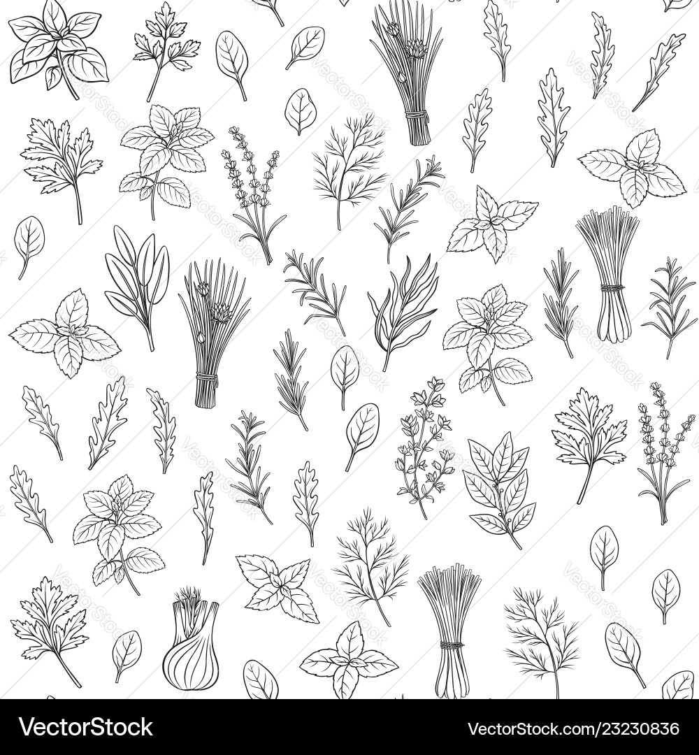 Herbs and spice seamless pattern Royalty Free Vector Image