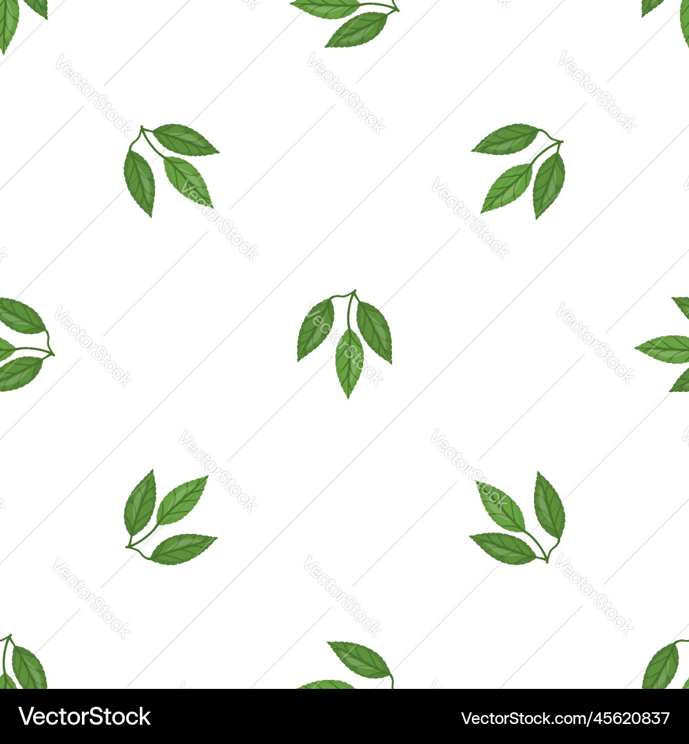 Cocoa leaf tree pattern seamless Cocoa leaf tree pattern seamless Vector Image