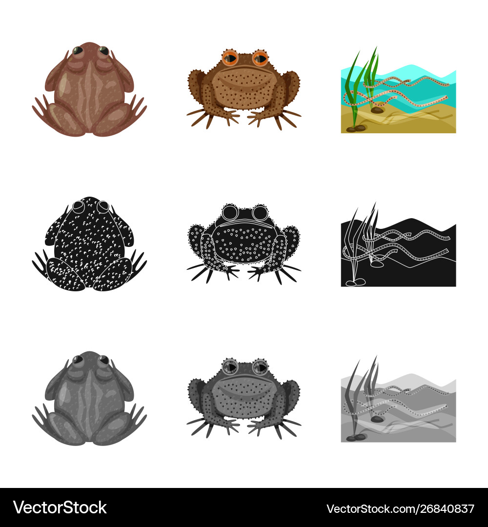 Isolated object wildlife and bog icon set Vector Image