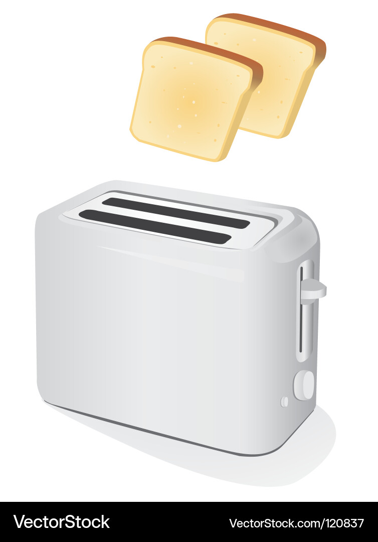 Modern Toaster with Toast vector image