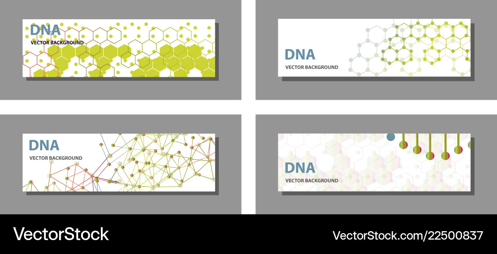 Set of 9 templates for presentation slides Vector Image