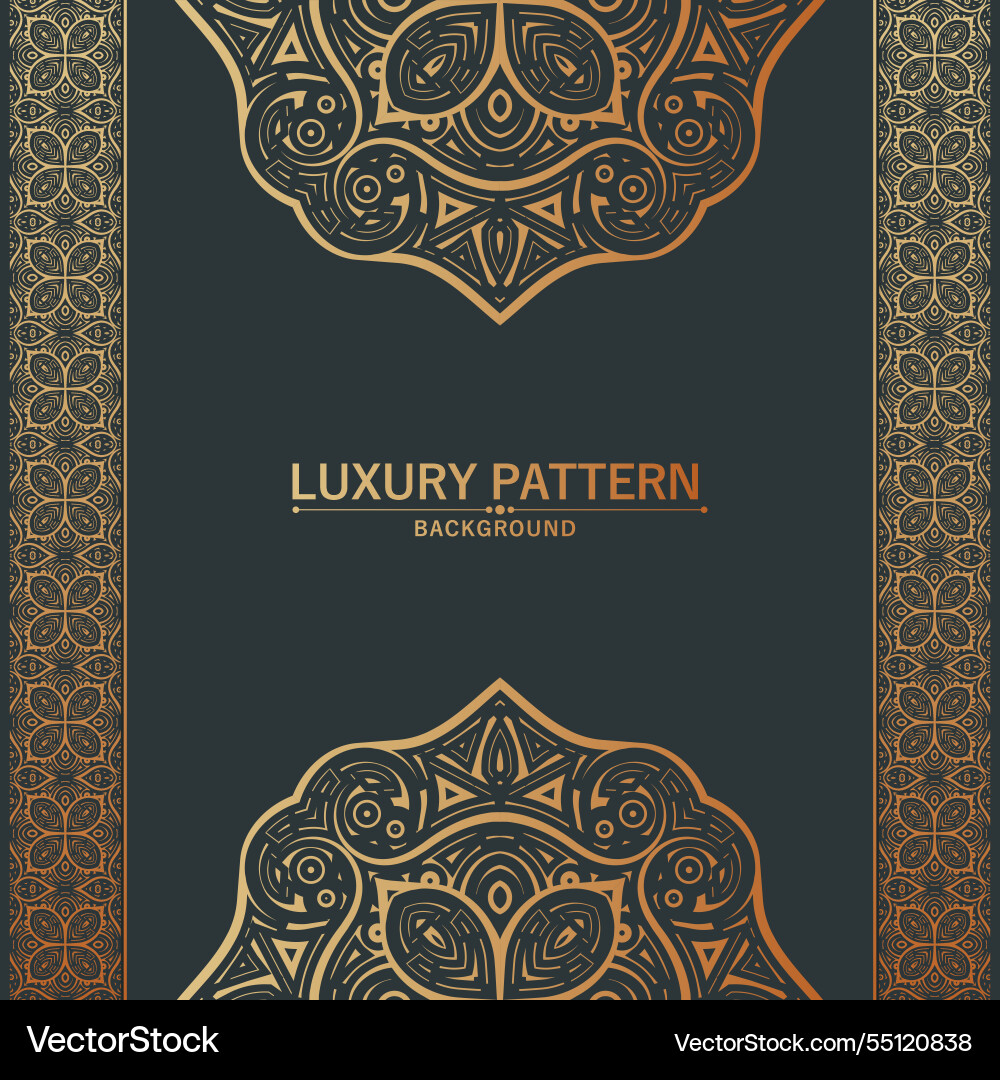 Elegant pattern style dark background Vector Image